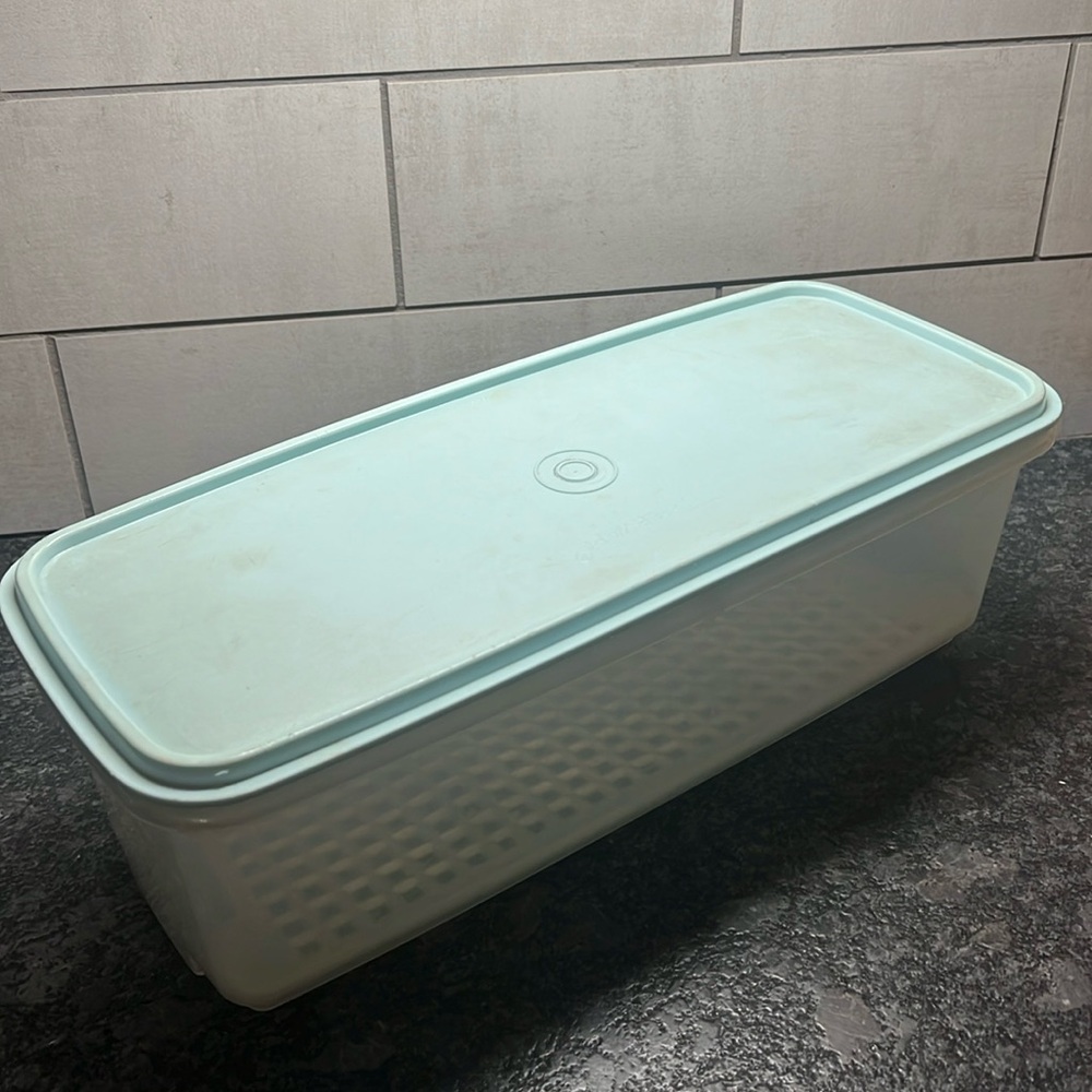 Vintage celery keeper. Tupperware This is in great condition.